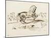 Cheval cabré dans un paysage et autres études de chevaux-Eugene Delacroix-Mounted Giclee Print