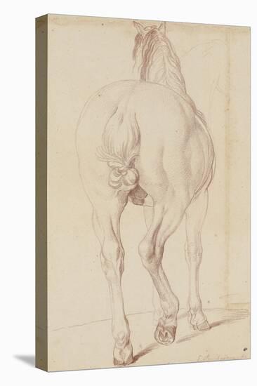 Cheval debout, vu de dos-Edme Bouchardon-Stretched Canvas
