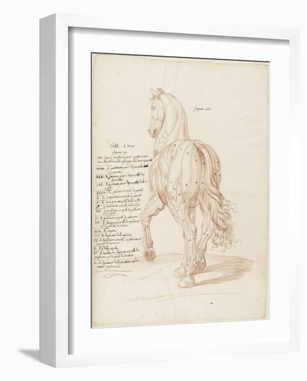 Cheval debout, vu de trois quarts et de dos-Edme Bouchardon-Framed Giclee Print