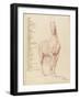 Cheval écorché, debout, la tête vue de face-Edme Bouchardon-Framed Giclee Print