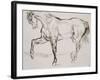 Cheval marchant vers la gauche-Eugene Delacroix-Framed Giclee Print