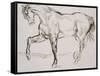 Cheval marchant vers la gauche-Eugene Delacroix-Framed Stretched Canvas