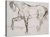 Cheval marchant vers la gauche-Eugene Delacroix-Stretched Canvas