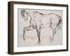 Cheval marchant vers la gauche-Eugene Delacroix-Framed Giclee Print