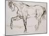 Cheval marchant vers la gauche-Eugene Delacroix-Mounted Giclee Print