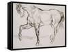 Cheval marchant vers la gauche-Eugene Delacroix-Framed Stretched Canvas