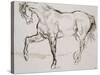 Cheval marchant vers la gauche-Eugene Delacroix-Stretched Canvas