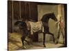 Cheval noir sortant de l'écurie-Horace Vernet-Stretched Canvas