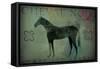 Cheval Noir v1-Ryan Fowler-Framed Stretched Canvas