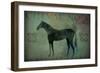 Cheval Noir v1-Ryan Fowler-Framed Art Print