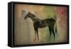 Cheval Noir v2-Ryan Fowler-Framed Stretched Canvas