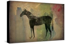 Cheval Noir v2-Ryan Fowler-Stretched Canvas