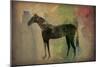 Cheval Noir v2-Ryan Fowler-Mounted Art Print