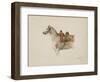 Cheval sellé, tourné vers la gauche-Antoine Alphonse Montfort-Framed Giclee Print