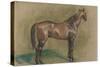 Cheval tourné vers la droite-Edgar Degas-Stretched Canvas