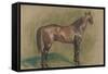 Cheval tourné vers la droite-Edgar Degas-Framed Stretched Canvas