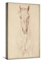 Cheval vu jusqu'aux avant-bras de face-Edme Bouchardon-Stretched Canvas