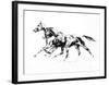 Chevaux En IIberté-Fred Jager-Framed Collectable Print