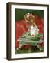 Chevre with Pomegranate Salsa-Pepe Nilsson-Framed Photographic Print