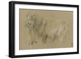 Chèvre-Pieter Boel-Framed Giclee Print