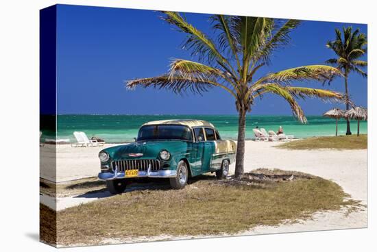 Chevrolet Classic Car under a Palm Tree on the Beach of the Island of Cayo Coco, Cuba-null-Stretched Canvas