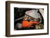 Chevrolet Corvette cv 427 1967-Simon Clay-Framed Photographic Print