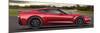 Chevrolet-Corvette Stingray-null-Mounted Premium Giclee Print