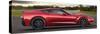 Chevrolet-Corvette Stingray-null-Stretched Canvas