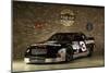 Chevrolet Lumina NASCAR winston cup 1994-Simon Clay-Mounted Photographic Print