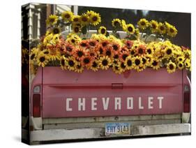Chevrolet-Amy Sancetta-Stretched Canvas