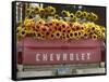 Chevrolet-Amy Sancetta-Framed Stretched Canvas