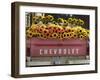 Chevrolet-Amy Sancetta-Framed Premium Photographic Print