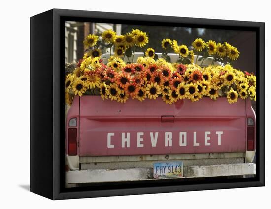 Chevrolet-Amy Sancetta-Framed Stretched Canvas