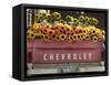 Chevrolet-Amy Sancetta-Framed Stretched Canvas