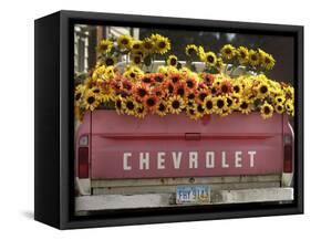 Chevrolet-Amy Sancetta-Framed Stretched Canvas