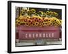 Chevrolet-Amy Sancetta-Framed Photographic Print