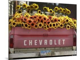 Chevrolet-Amy Sancetta-Mounted Photographic Print