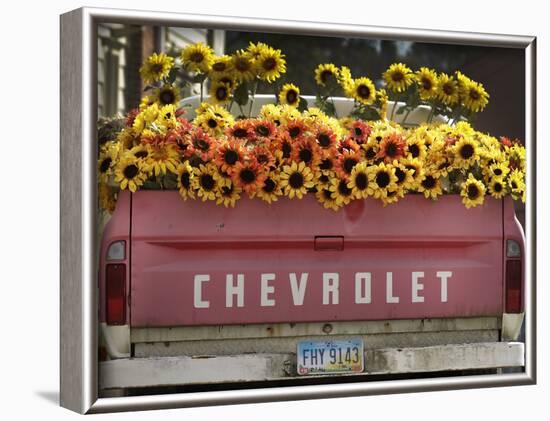 Chevrolet-Amy Sancetta-Framed Photographic Print