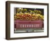 Chevrolet-Amy Sancetta-Framed Photographic Print