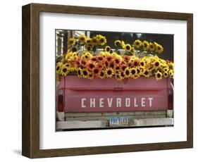 Chevrolet-Amy Sancetta-Framed Photographic Print
