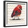 Chevron Baby Red Bird I-Patricia Pinto-Framed Art Print