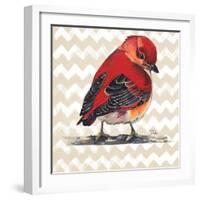 Chevron Baby Red Bird I-Patricia Pinto-Framed Art Print