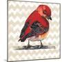 Chevron Baby Red Bird I-Patricia Pinto-Mounted Art Print