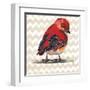 Chevron Baby Red Bird I-Patricia Pinto-Framed Art Print