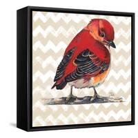 Chevron Baby Red Bird I-Patricia Pinto-Framed Stretched Canvas