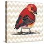 Chevron Baby Red Bird I-Patricia Pinto-Stretched Canvas