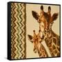 Chevron Safari I-Patricia Pinto-Framed Stretched Canvas