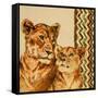 Chevron Safari II-Patricia Pinto-Framed Stretched Canvas