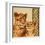 Chevron Safari II-Patricia Pinto-Framed Art Print