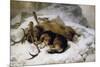 Chevy, 1868 (Oil on Canvas)-Edwin Landseer-Mounted Premium Giclee Print